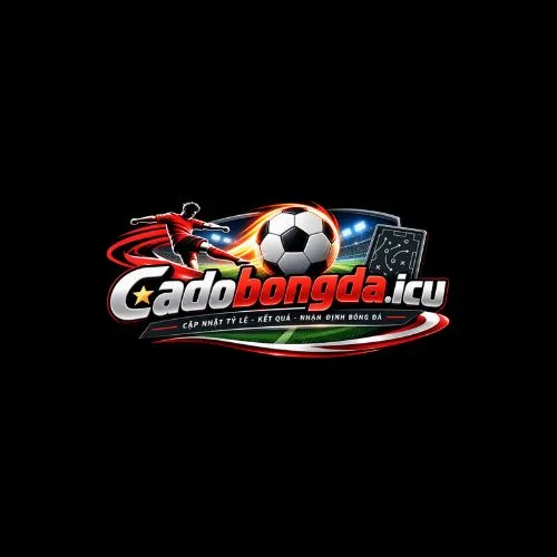 cá độ bóng đá