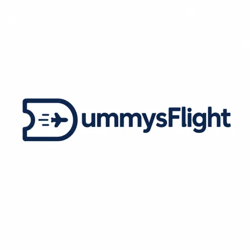 dummy flights