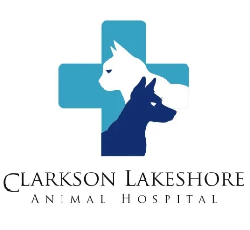 Clarkson Lakeshore