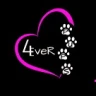 4EverPups