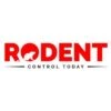 rodentcontrolmelbourne