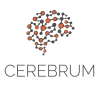 Cerebrum