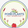 pondplantsofamerica