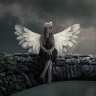 angeldreams