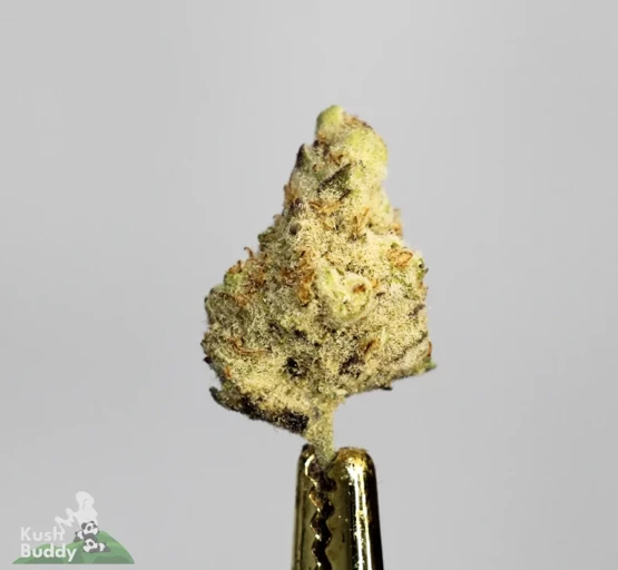 shake dispensary deals