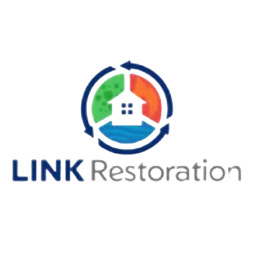 Link Restoration