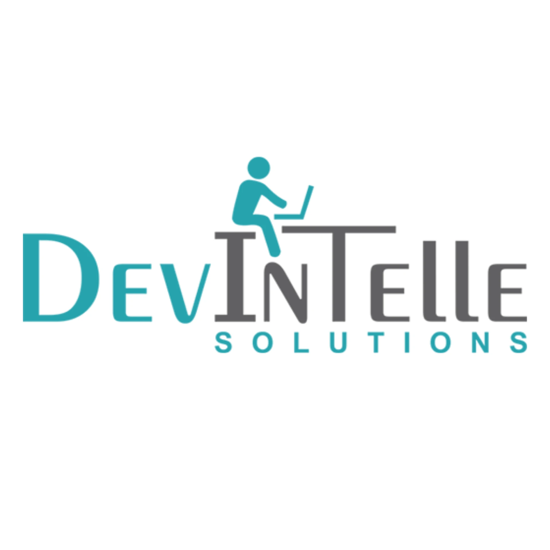 Devintelle Consulting Service