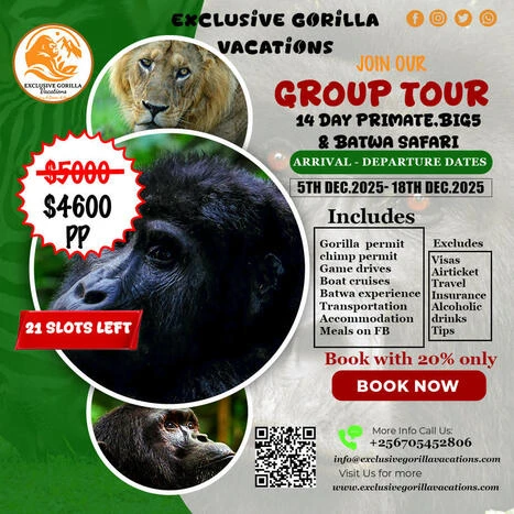 Exclusive Gorilla Vacations