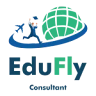 Edufly Consultant