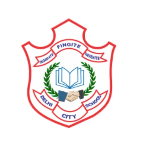 Delhi City School 