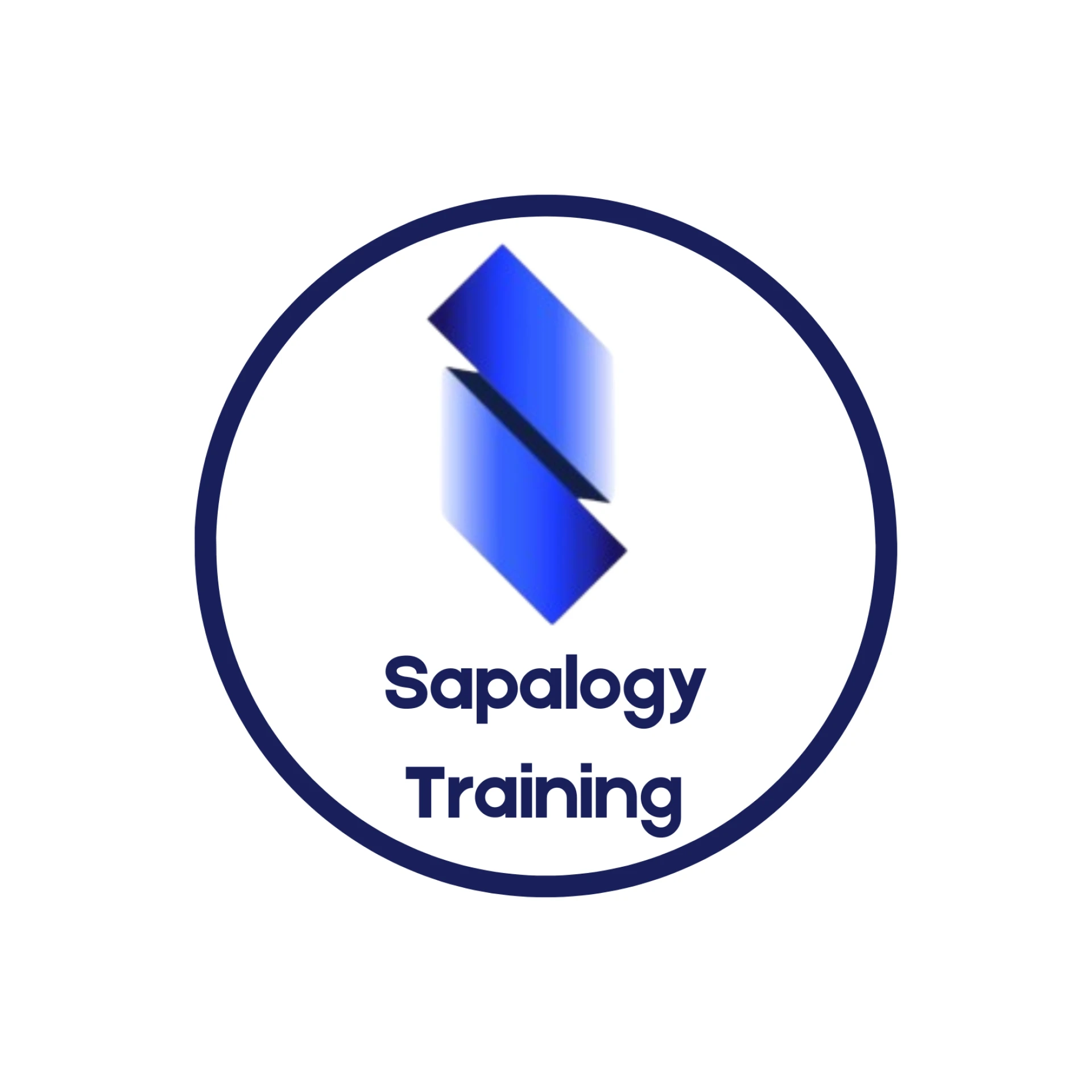 Sapalogy Training