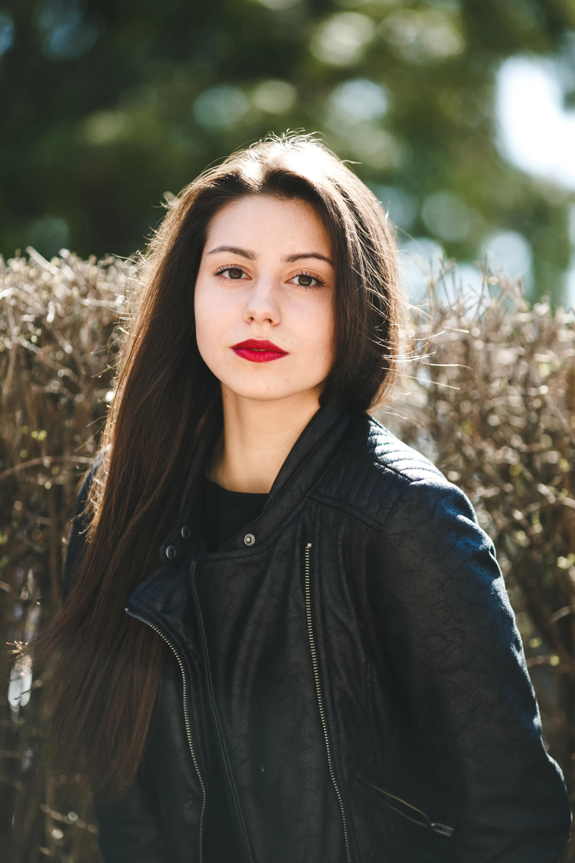 author avatar