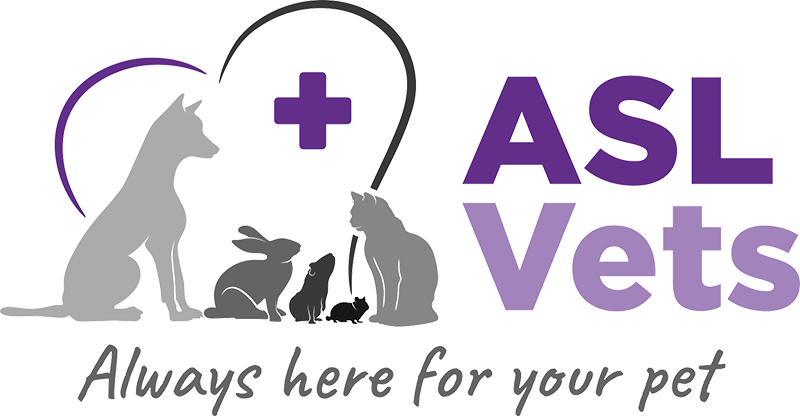 ASL Vets