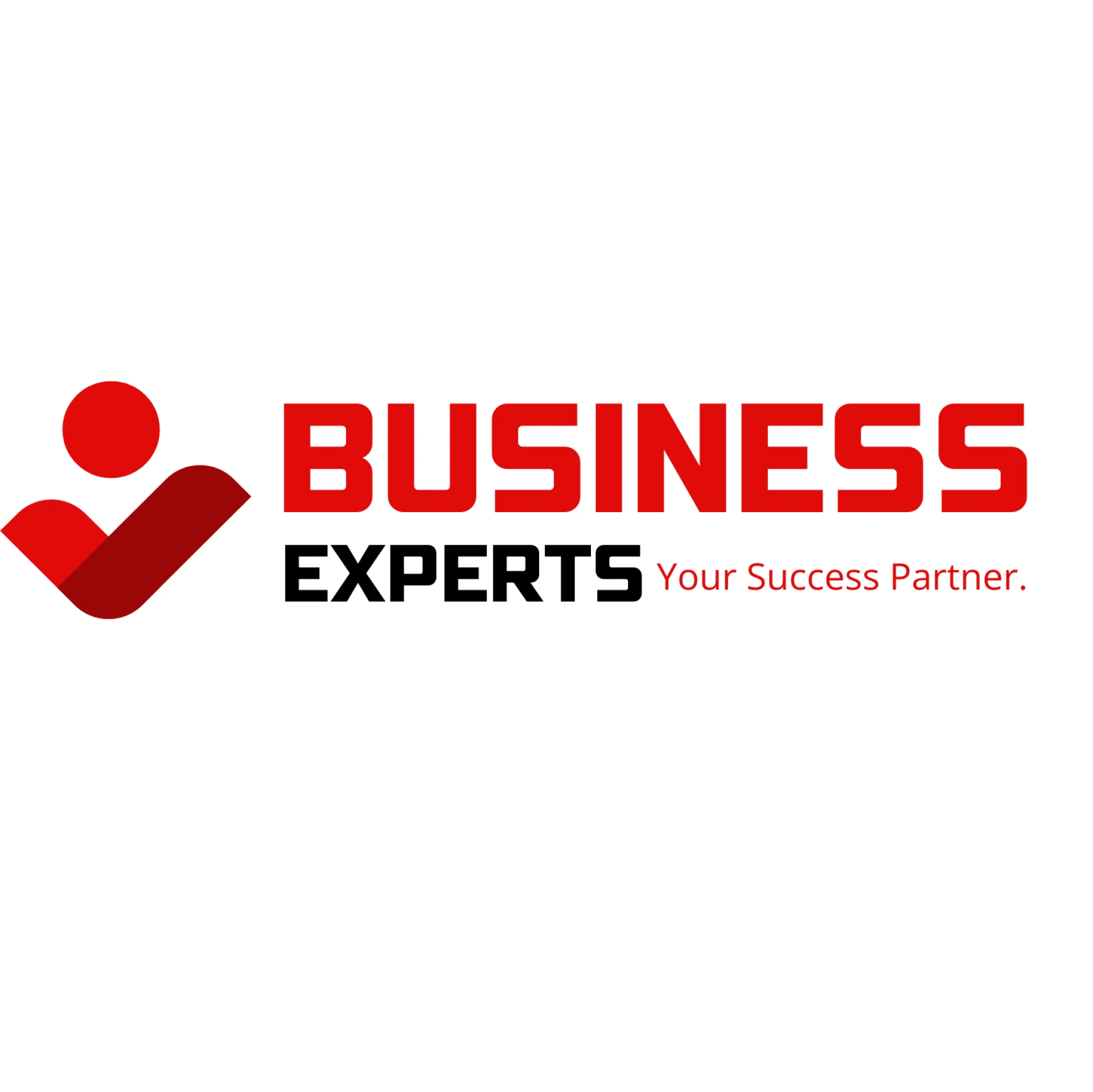 Business expertsae