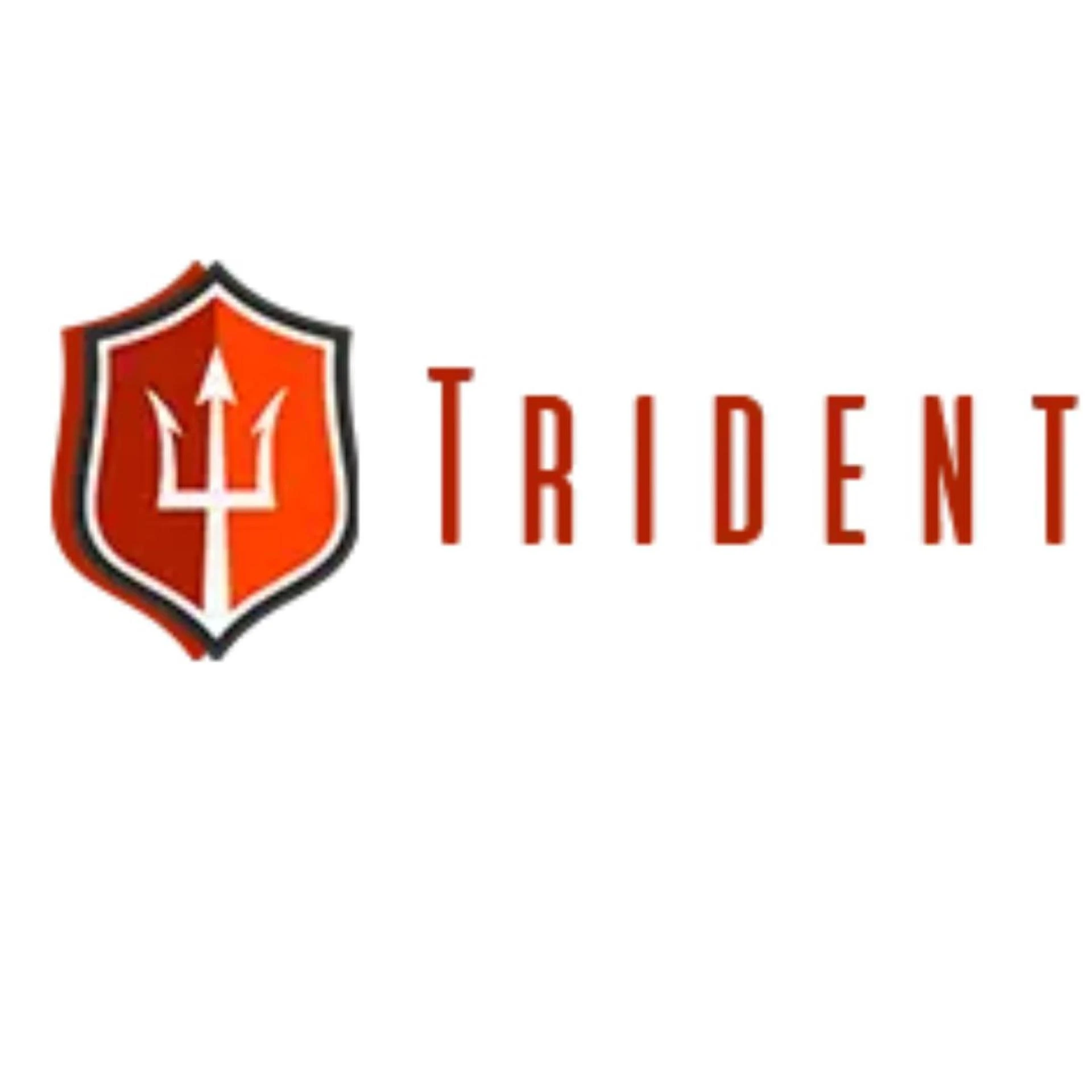 Trident Shipping and Trading