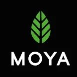 Moya Matcha