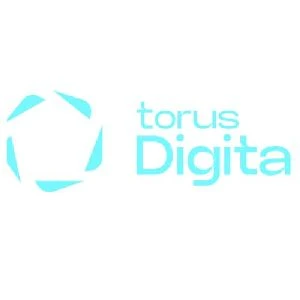 Torus Digital Private Limited