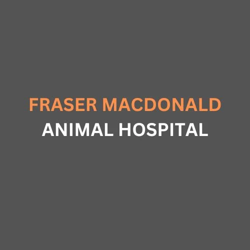 Fraser Macdonald  Animal Hospital