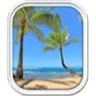maui vacationadvisors