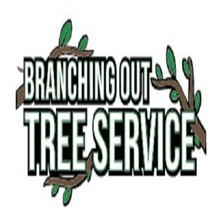 Tree Service Suffolk County Amityville