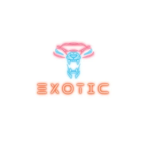 Exotic Super Car Rental