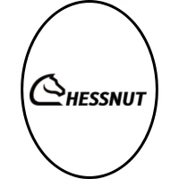 Chessnu Tech