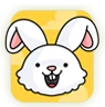 Crazy Bunny