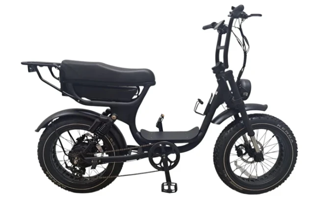 EBikes Scooters