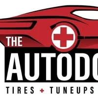 The AutoDoctor