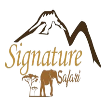 Signature Safari