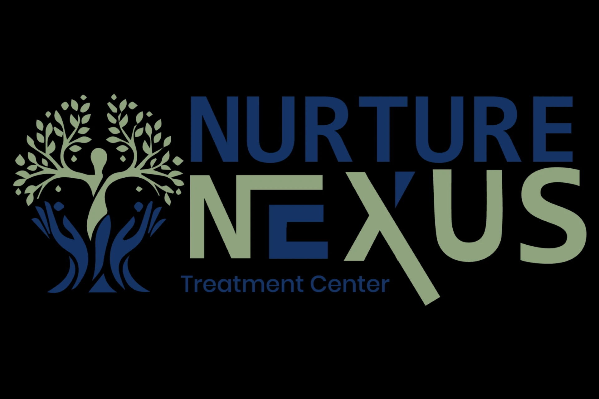 Nurture Nexus Recovery Center