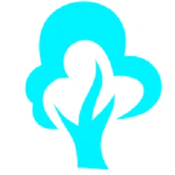 Accel Professional Corporation