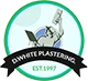 D White Plastering