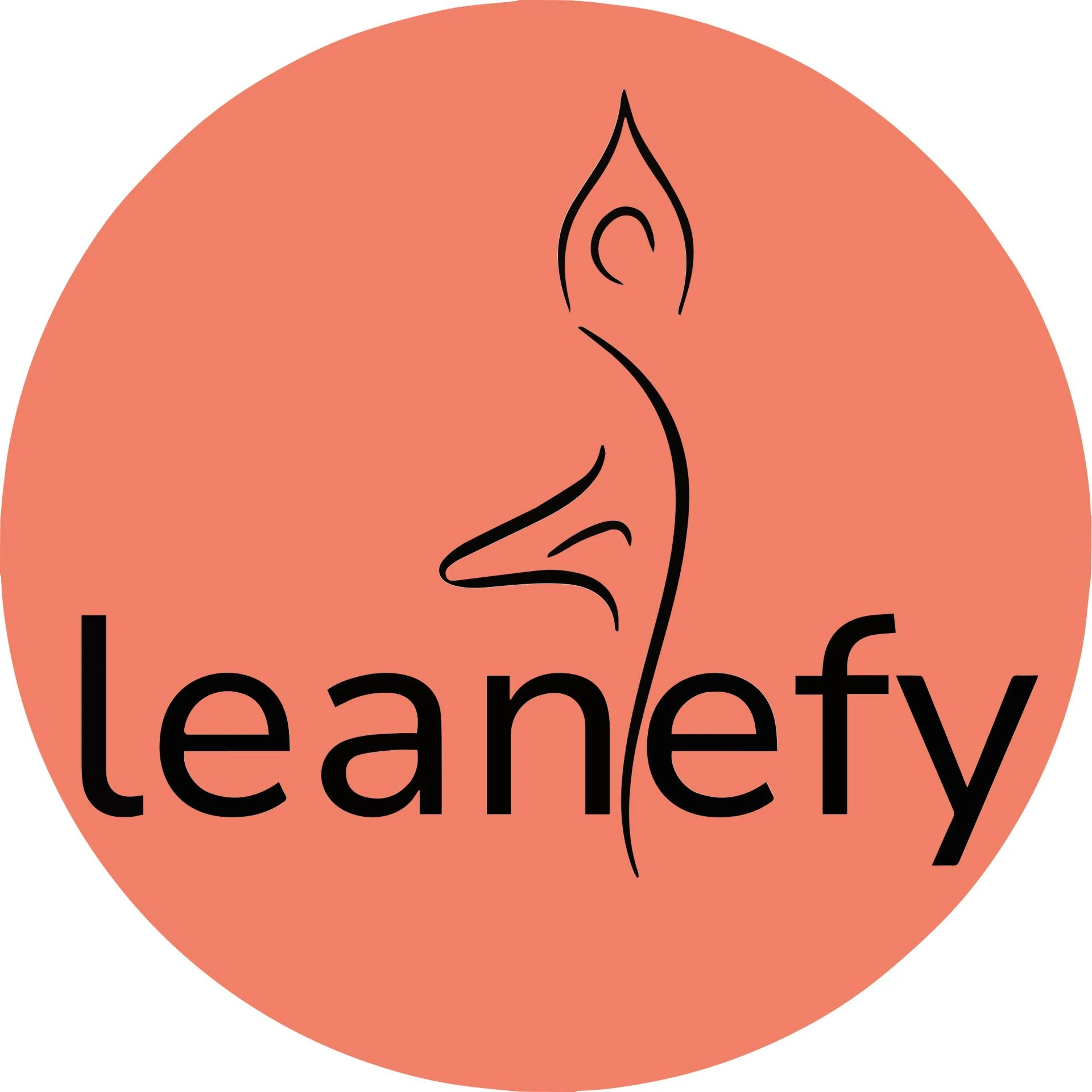 Leanefy LLC