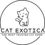 Cat Exotica