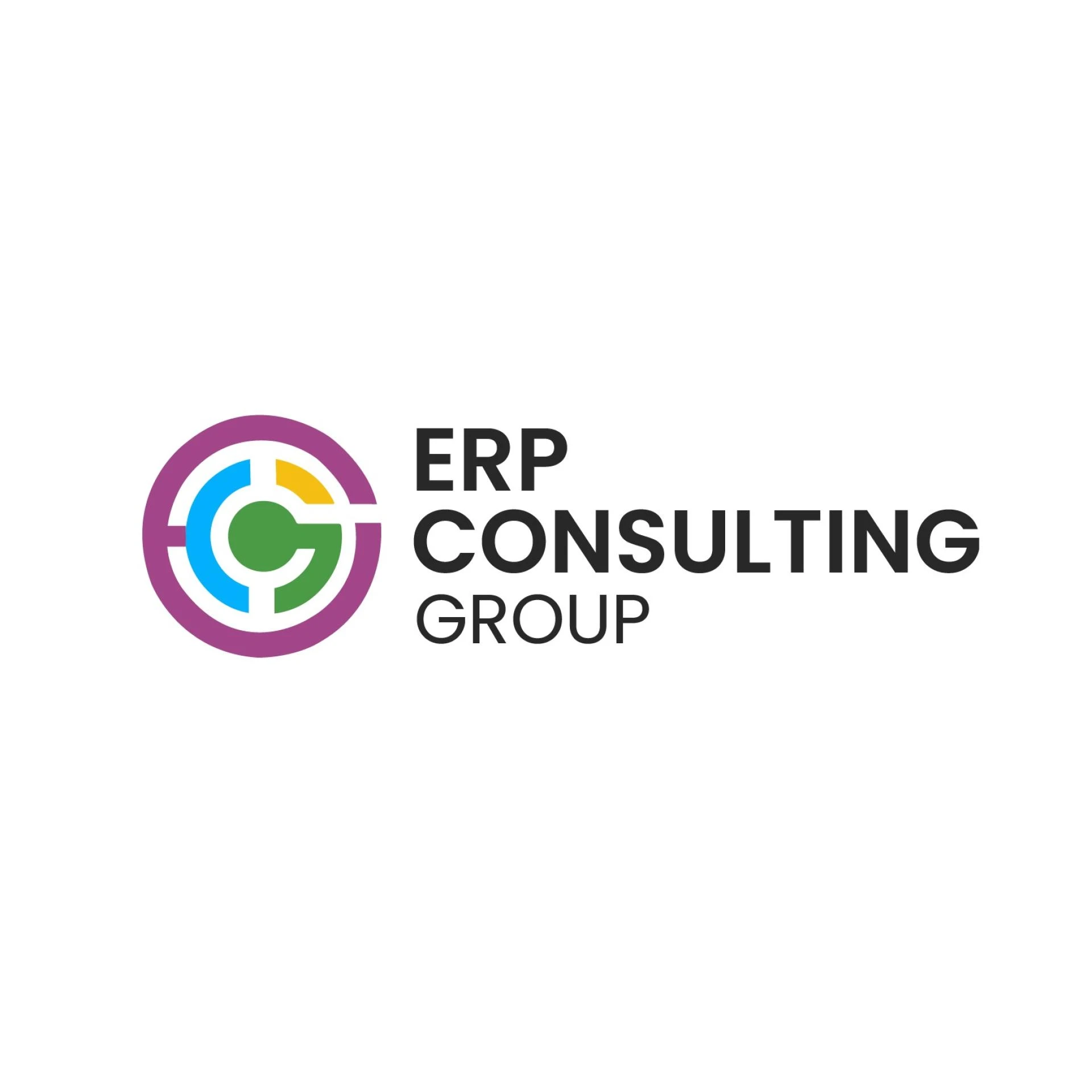 Erp Consulting Group