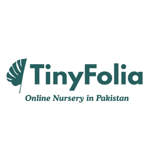 TinyFolia Online Nursery in Pakistan 