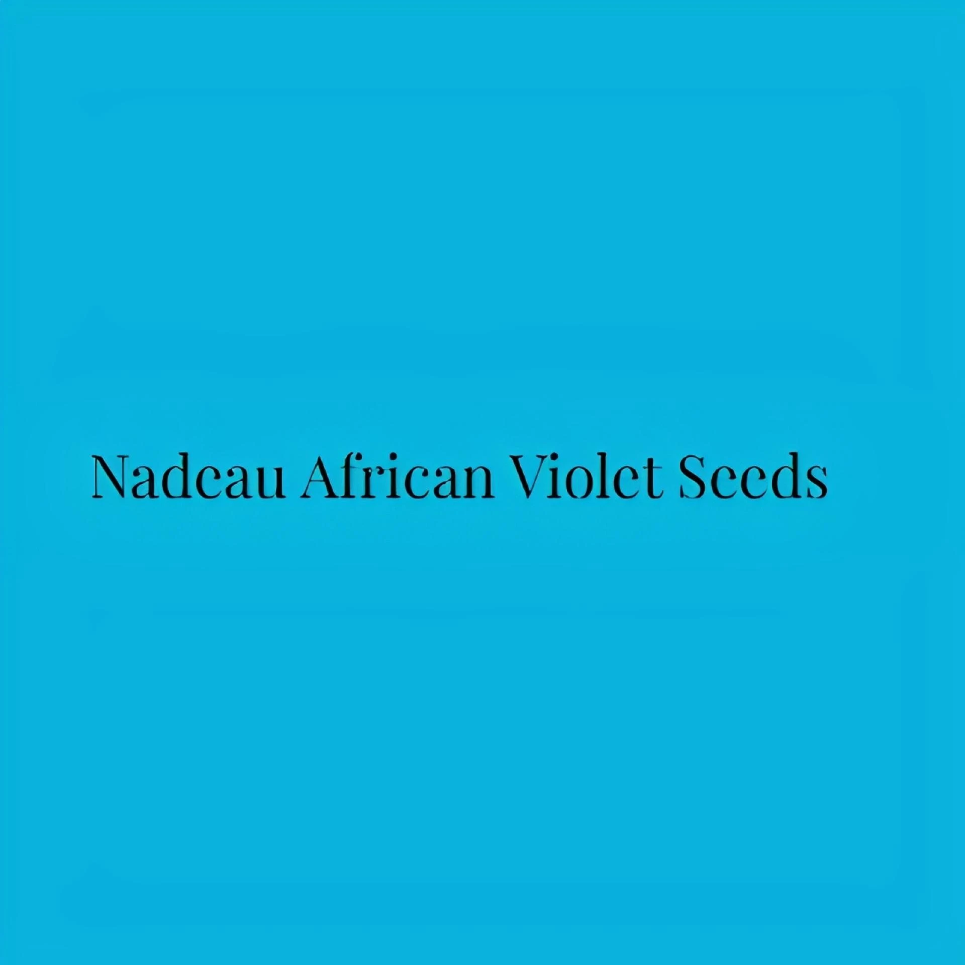Nadeau African Violet Seeds