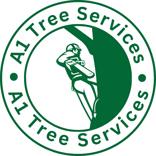 Hull Tree Surgeon