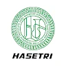 hasetri tyres