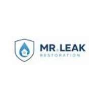 Mr Leak Water Damage Restoration