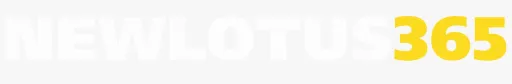 accountant jobs