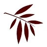Andorwillow