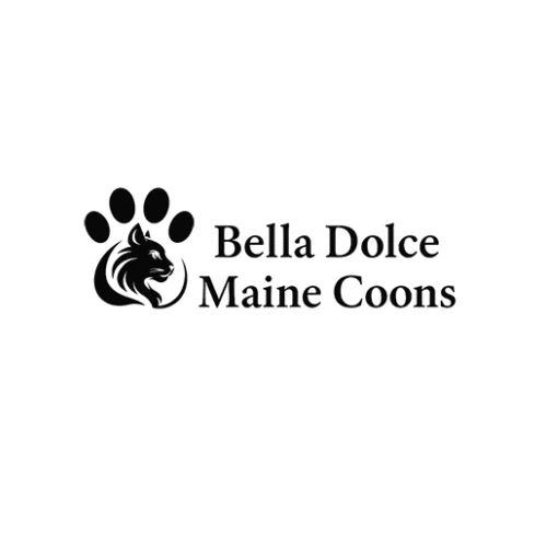 Bella Dolce Maine Coons