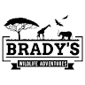 BradysWidlifeAdventures 