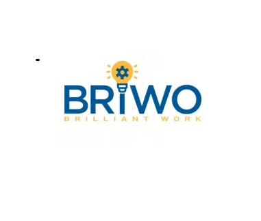 Briwosolution 