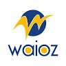 waioz consultancy services