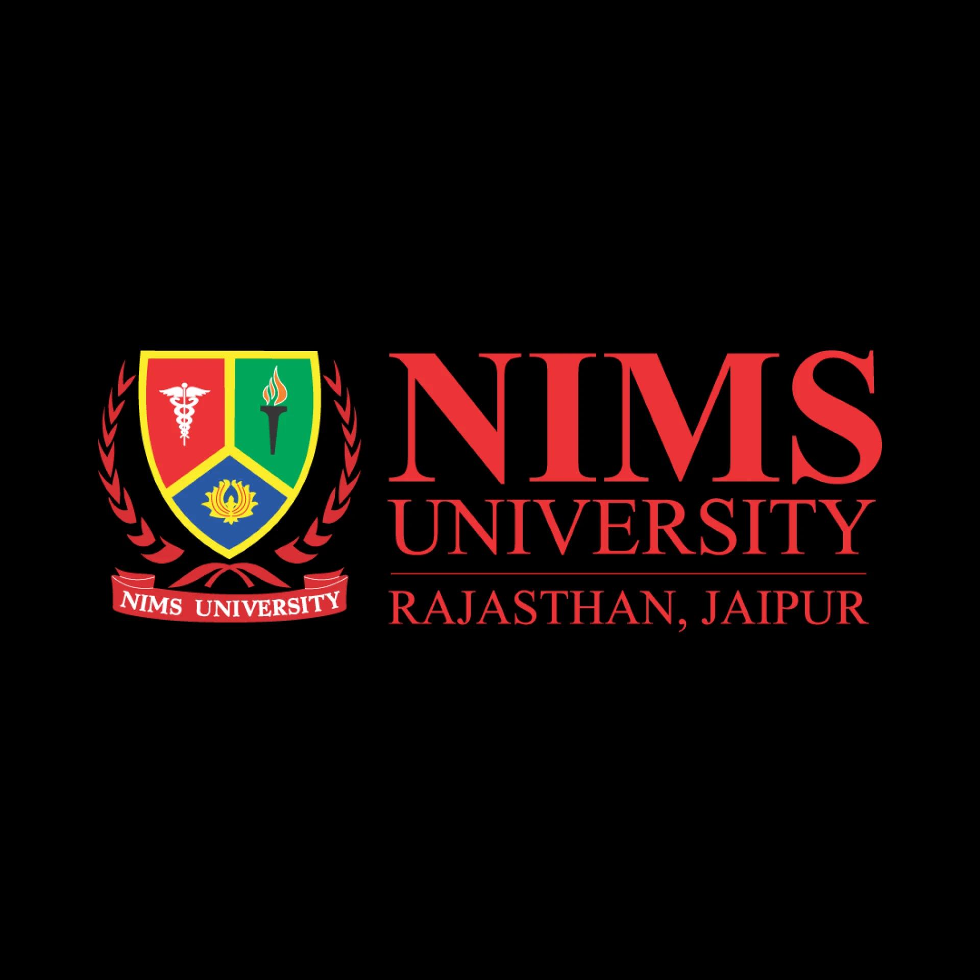 Nims University