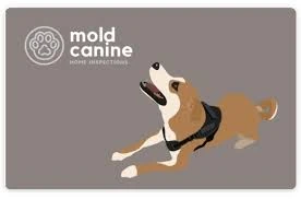 Mold Canine