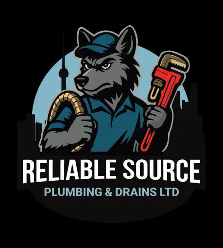 Reliable source plumbing
